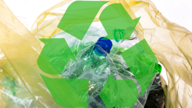 Elias Assum Sabbag Junior destaca como startups estão transformando plásticos em oportunidades no cenário da reciclagem.