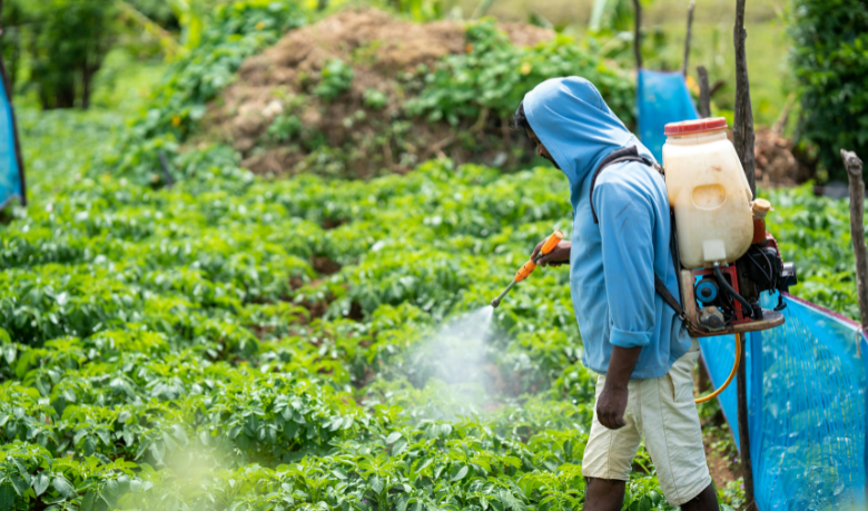 João Eustáquio De Almeida Junior explica como os fertilizantes fornecem os nutrientes essenciais que impulsionam o crescimento das plantas e aumentam a produtividade.