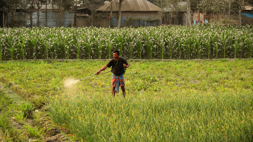 Entenda como os nutrientes certos fazem a diferença na lavoura e na produtividade, em uma análise de João Eustáquio De Almeida Junior.