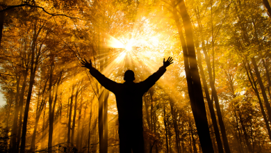 Jose Eduardo Oliveira e Silva analisa a renovação espiritual nas comunidades paroquiais.