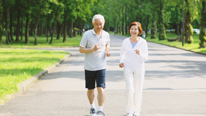 Sindnapi - Sindicato Nacional dos Aposentados, Pensionistas e Idosos