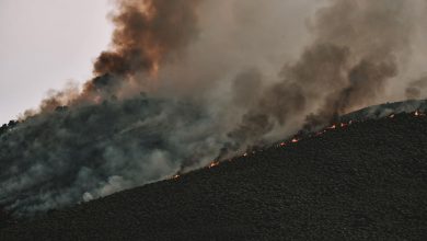 Incêndio florestal se espalha por uma encosta montanhosa, lançando uma espessa coluna de fumaça no céu.